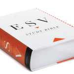 esvsb-feature